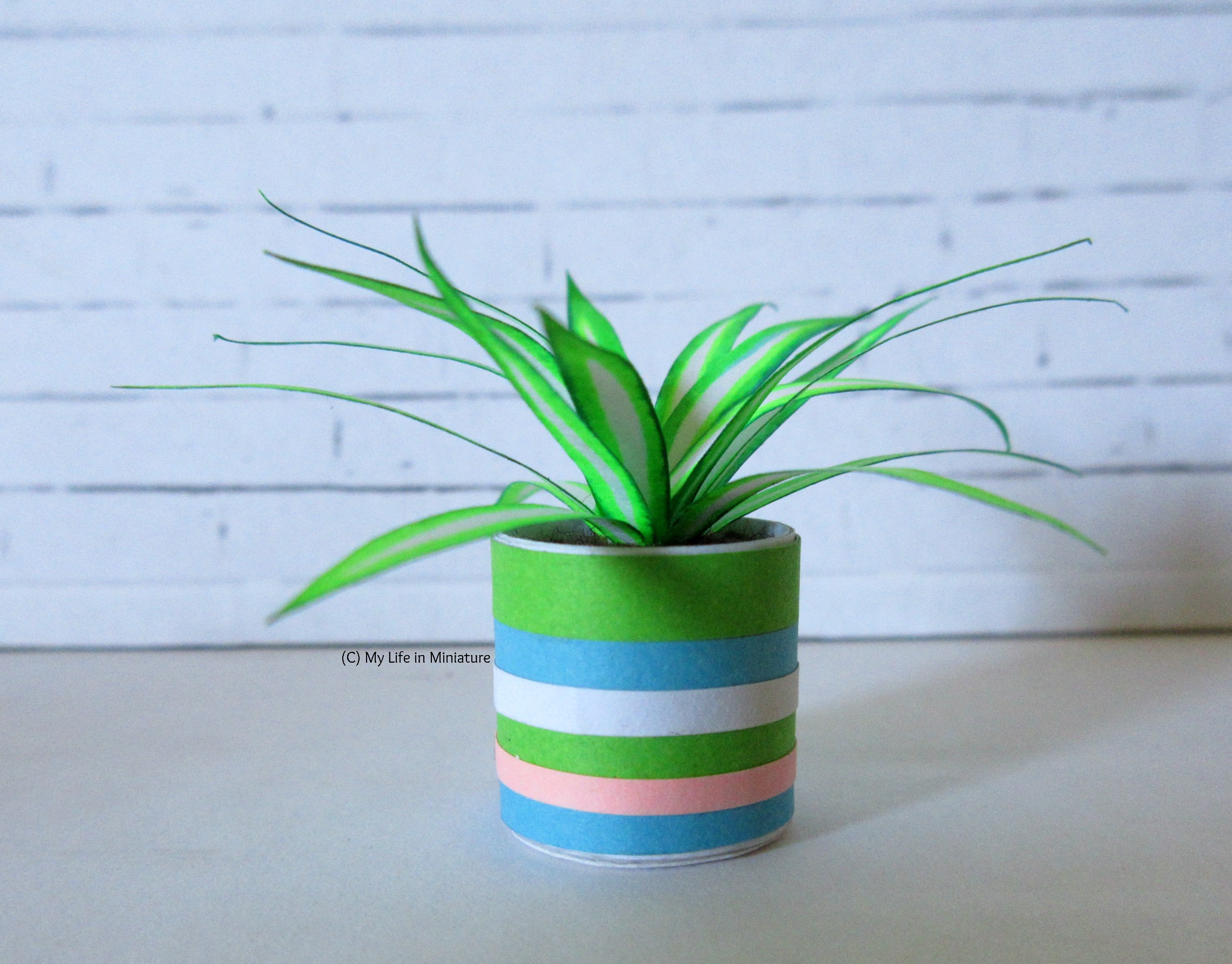 Close-up of one of the spiderplants. Its pot is striped with green, blue, white, and pink. 
