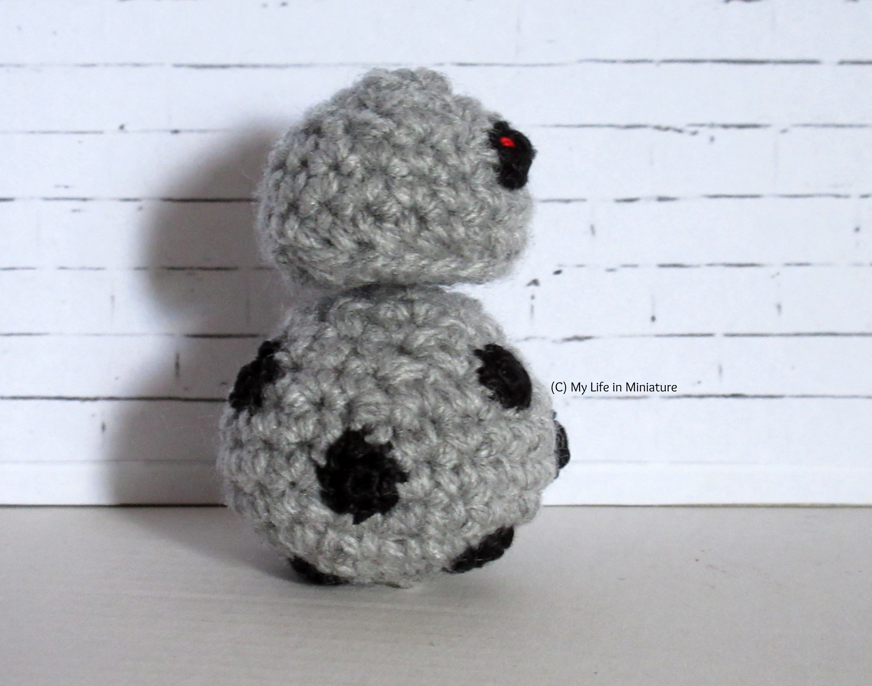 Chip rolls to the right of the image, looking in that direction.