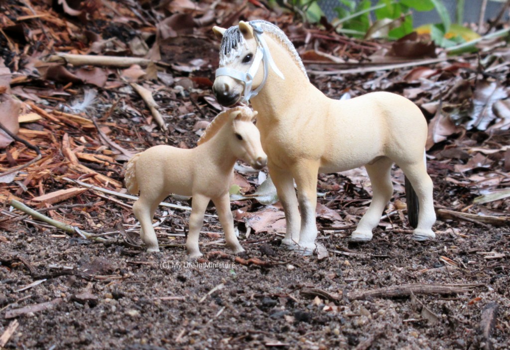 Two model Fjord horses (a stallion with a pale blue halter and a foal) stand on a 3/4 angle to the camera. They are outside on dirt, and behind them is leaf litter, mulch, and some plants in the distance. 
