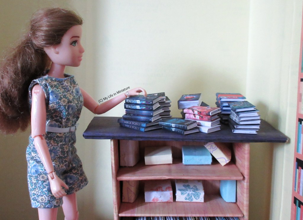 Sarah stands beside the stand-in front counter of The Palace Library. On the counter are about six piles of new books, unpacked from the parcel box. Sarah has a hand on top of the nearest stack, and looks at the books.
