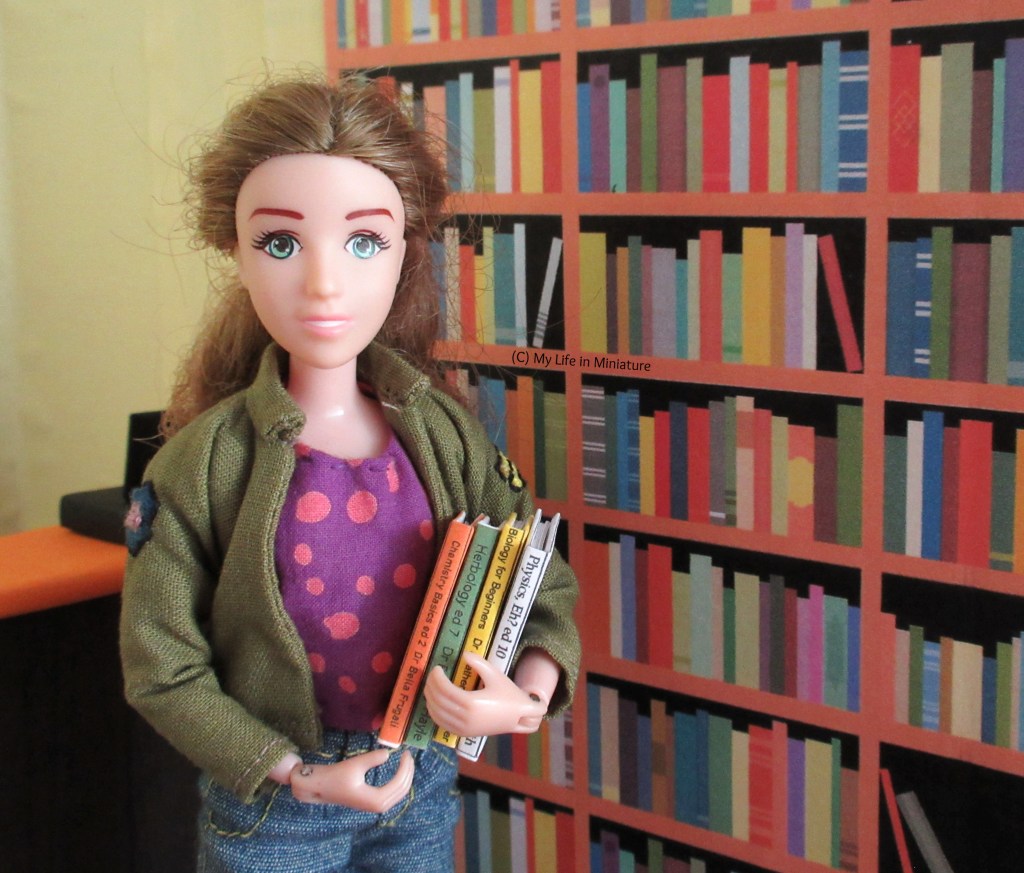 Sarah stands in front of the textbook shelves in the Palace Library. She has four textbooks in her arms, ready to be shelved.