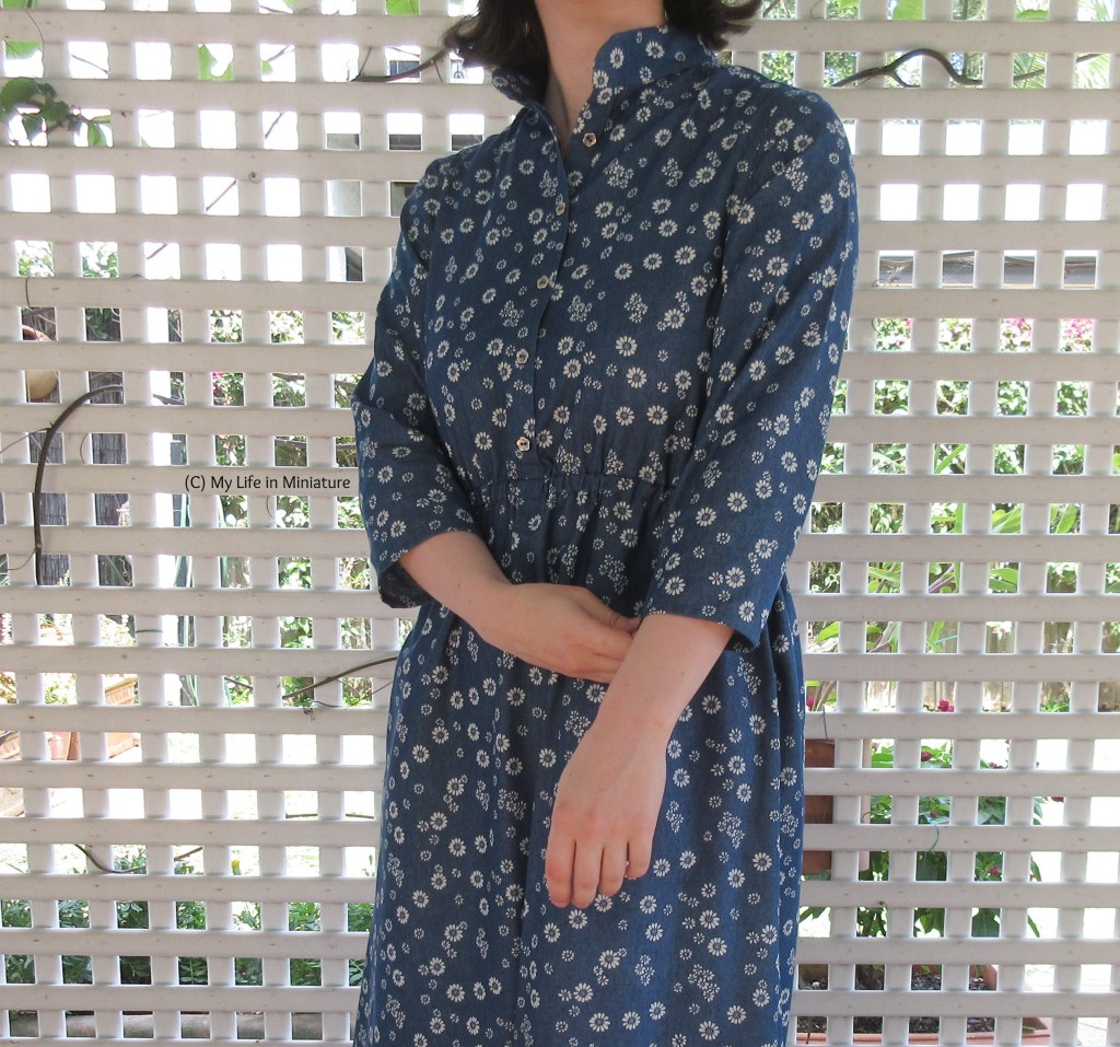 The author wears the same dress, against the same background. One hand holds the hem of the other sleeve, to highlight their length. As such, she is photographed from neck to thigh. From this distance, one can see the bodice closes at centre front with buttons. 