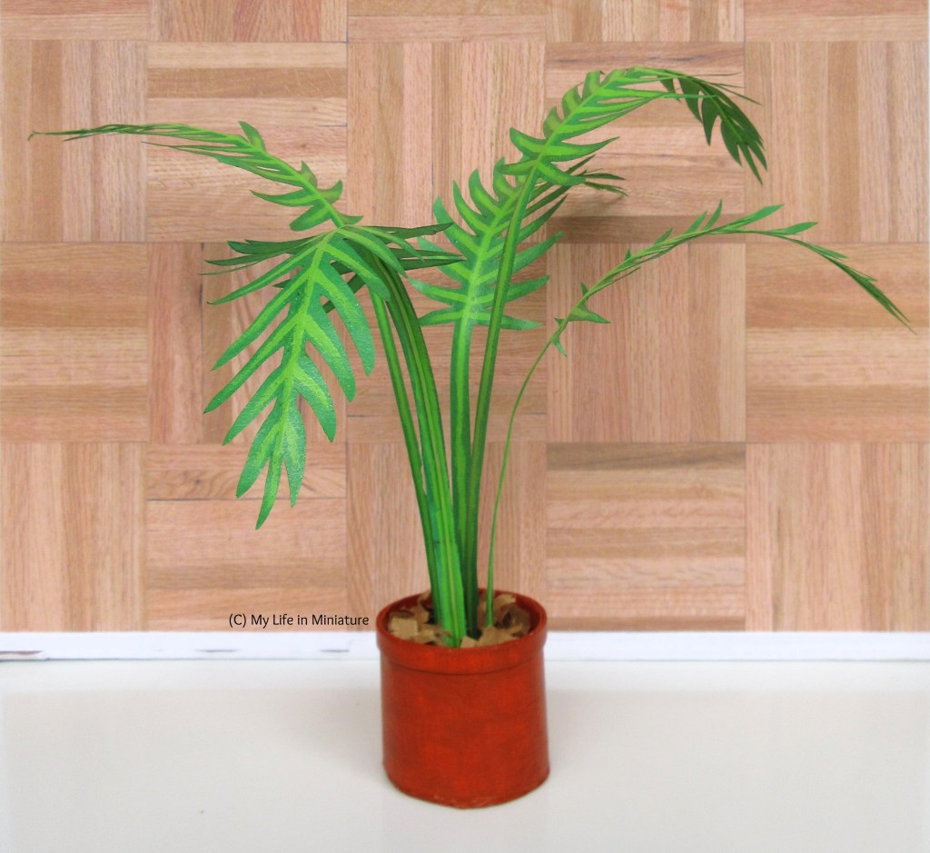 The palm stands in its pot in front of a parquet backdrop. The plant has five stems with five leaves, varying in height and leaf floppiness. 