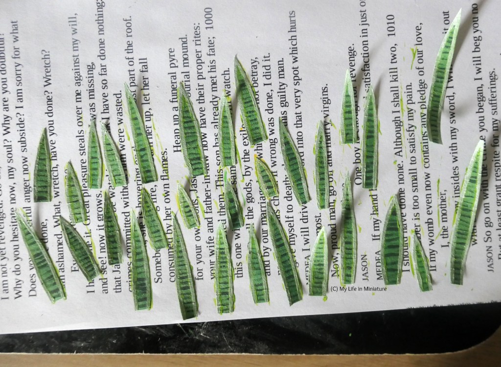 Another shot of the snake plant leaves on scrap paper, this time with white edges. 