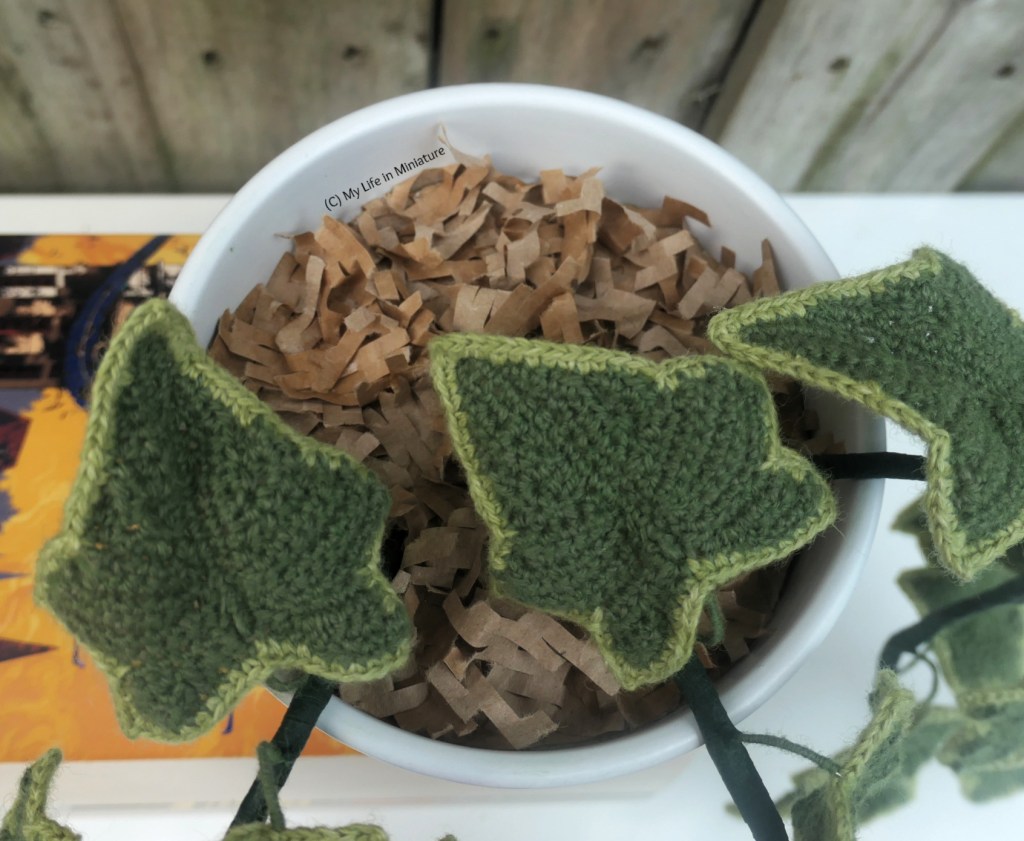 Close-up of the pot from above. Three of the leaves are visible up close, but under them is shredded brown paper, to act as soil. 
