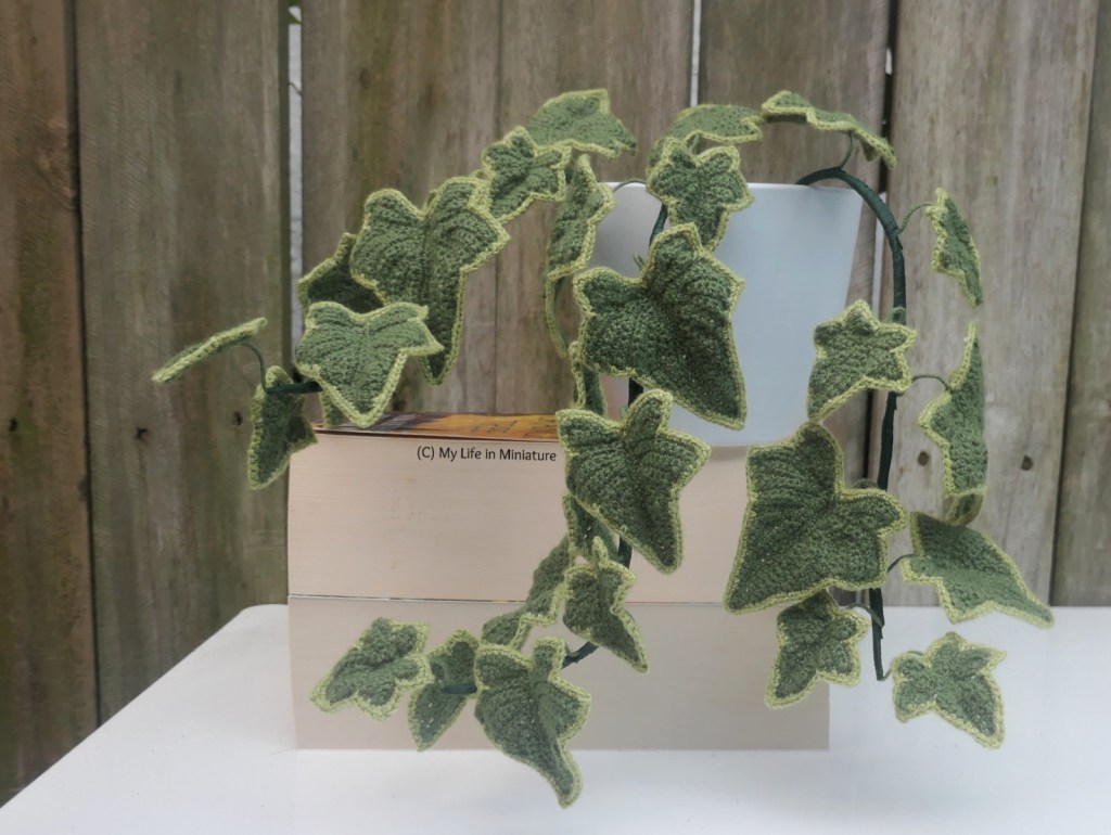Another angle of the ivy plant in full, on top of two large books, on a white surface and with a fence as the background. The three vines that make up the plant are visibly distinct. 