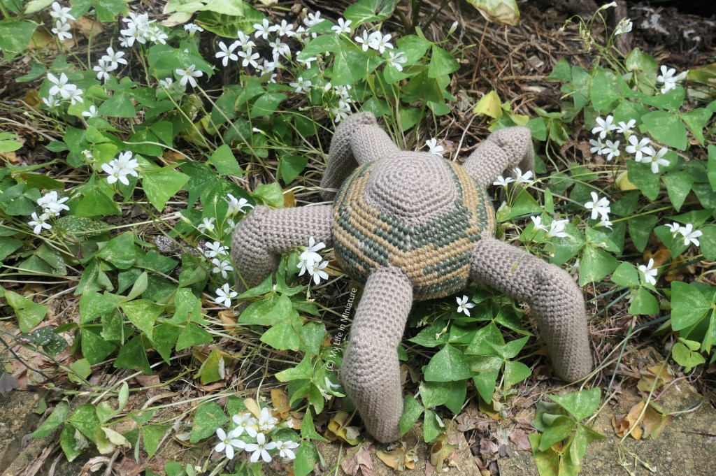 Crochet Rocky is photographed from above, nestled in a garden bed of plants with small white flowers.